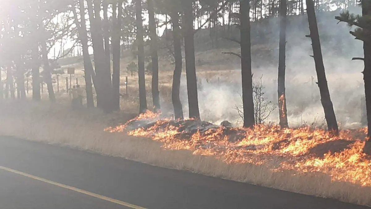 incendios forestales conafor